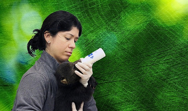 ‘Tampa’nın Sırları: Vahşi Taraf’, 5 Mayıs Pazartesi Günü 20.00’de National Geographic WILD Ekranlarında!