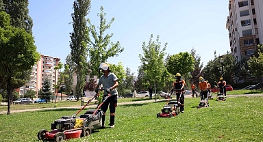 Çankaya parklarında çimler biçme ve ot temizleme mesaisi