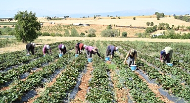 Başkan Altay: “Tarımın Her Alanında Üreticimizin Yanında Olmaya Devam Edeceğiz”