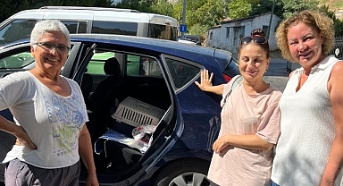 Narlıdere Belediyesi’nden minik dostlar için seferberlik