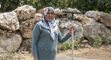 Yenişehir Belediyesinin desteğiyle safran üreticisi sayısı artıyor