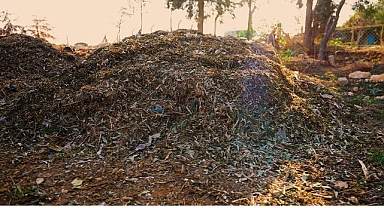 Didim Belediyesi’nden Örnek Proje: Pazar Atıkları Komposta Dönüşüyor